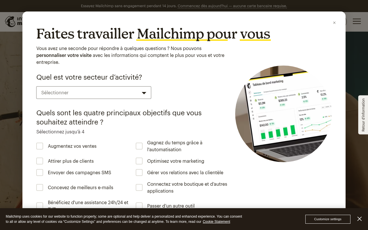 Questionnaire d'accueil de Mailchimp : secteur d'activité et objectifs