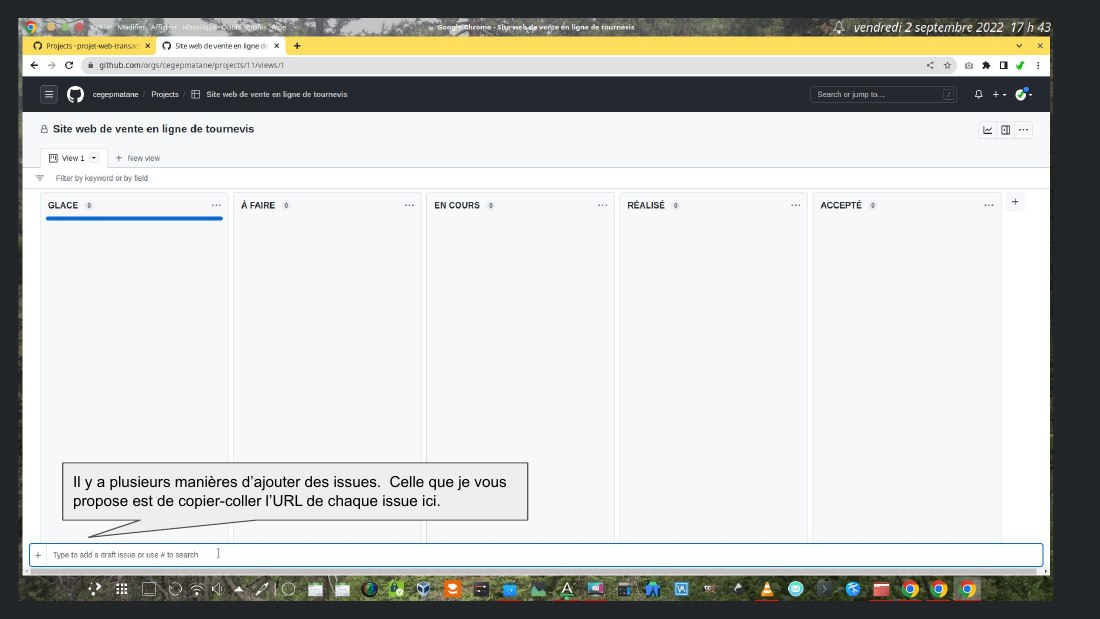 Il y a plusieurs manières d’ajouter des issues. Celle que je vous propose est de copier-coller l’URL de chaque issue ici.