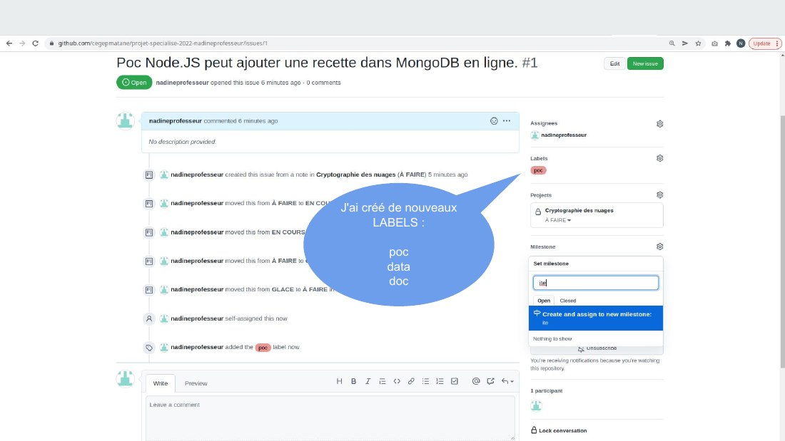 J'ai créé de nouveaux LABELS : - poc - data - doc