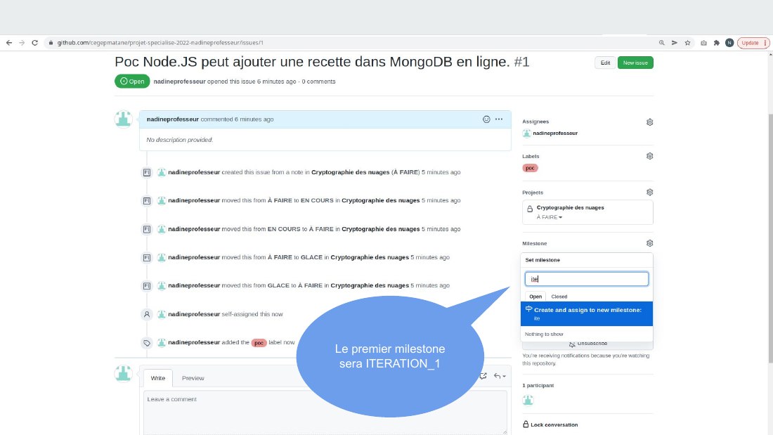 Le premier milestone sera ITERATION_1