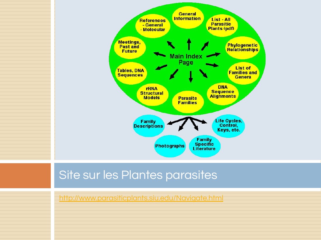 http://www.parasiticplants.siu.edu/Navigate.html - Site sur les Plantes parasites
