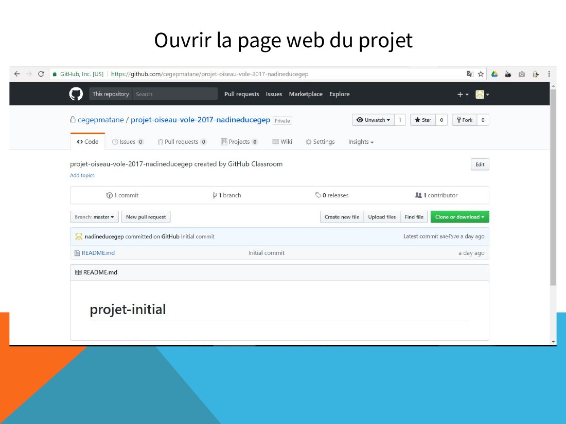 Ouvrir la page web du projet