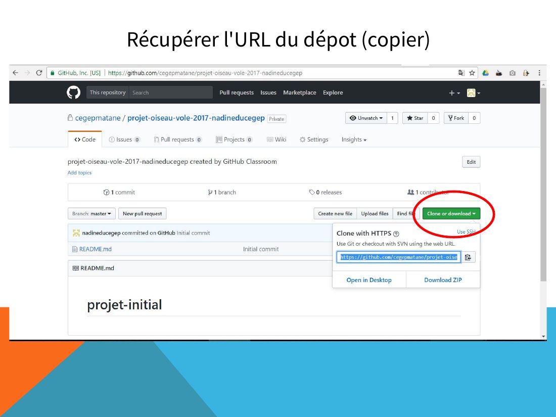 Récupérer l'URL du dépot (copier)