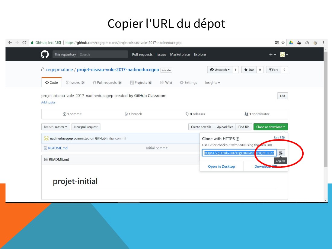 Copier l'URL du dépot