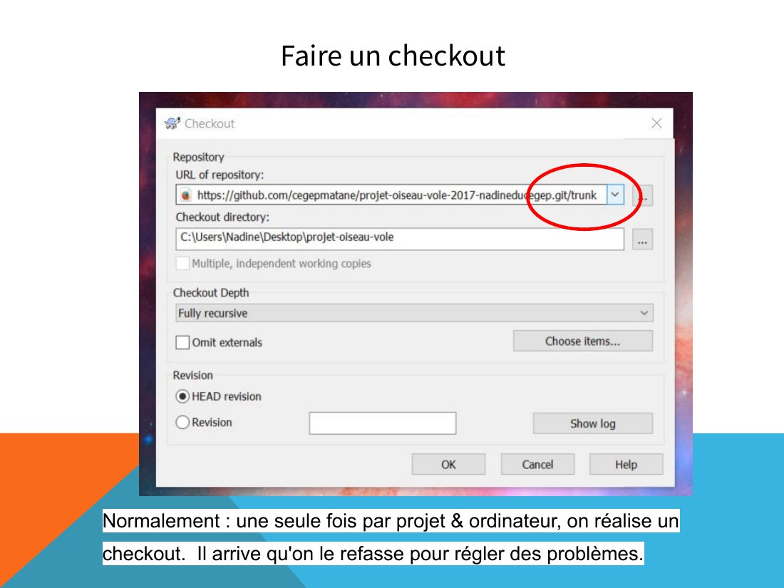 Faire un checkout - Normalement : une seule fois par projet & ordinateur, on réalise un checkout. Il arrive qu'on le refasse pour régler des problèmes.