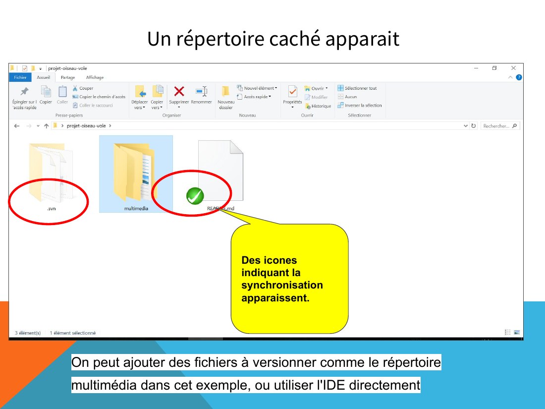 Un répertoire caché apparait - On peut ajouter des fichiers à versionner comme le répertoire multimédia dans cet exemple, ou utiliser l'IDE directement - Des icones indiquant la synchronisation apparaissent.