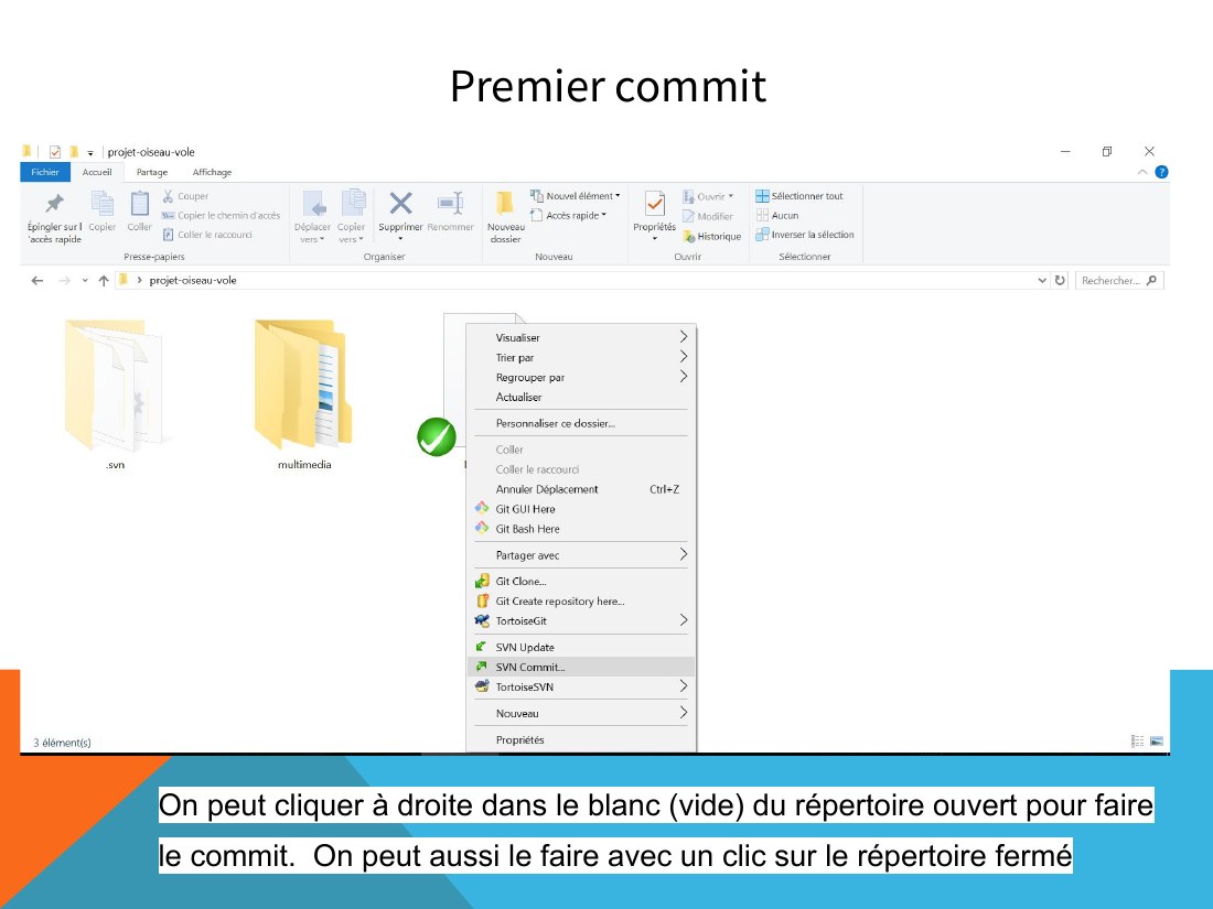 Premier commit - On peut cliquer à droite dans le blanc (vide) du répertoire ouvert pour faire le commit. On peut aussi le faire avec un clic sur le répertoire fermé