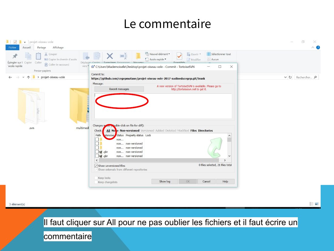 Le commentaire - Il faut cliquer sur All pour ne pas oublier les fichiers et il faut écrire un commentaire