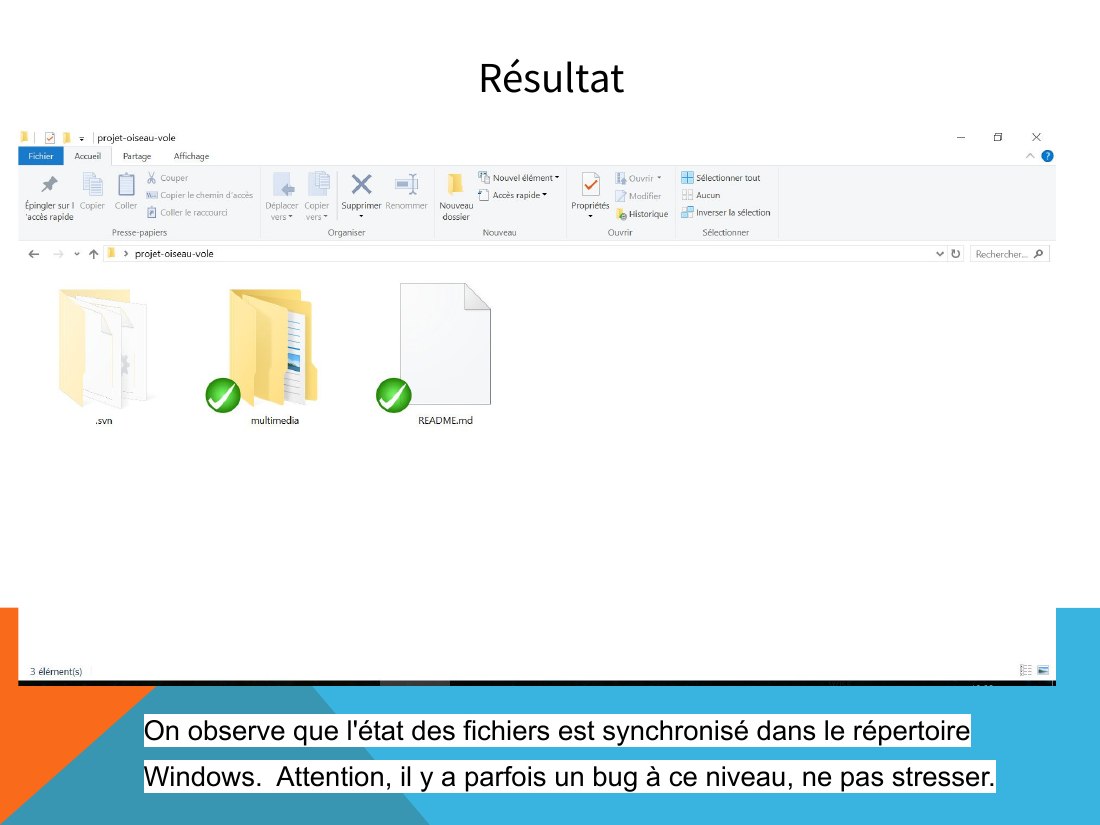 Résultat - On observe que l'état des fichiers est synchronisé dans le répertoire Windows. Attention, il y a parfois un bug à ce niveau, ne pas stresser.