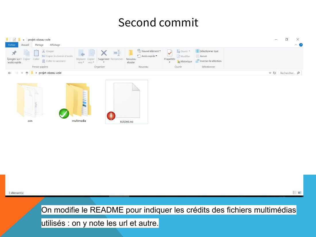 Second commit - On modifie le README pour indiquer les crédits des fichiers multimédias utilisés : on y note les url et autre.
