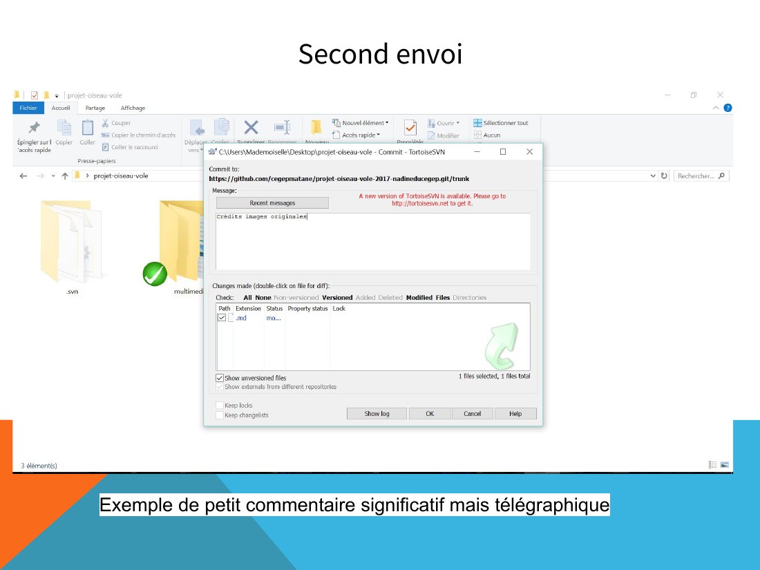 Second envoi - Exemple de petit commentaire significatif mais télégraphique