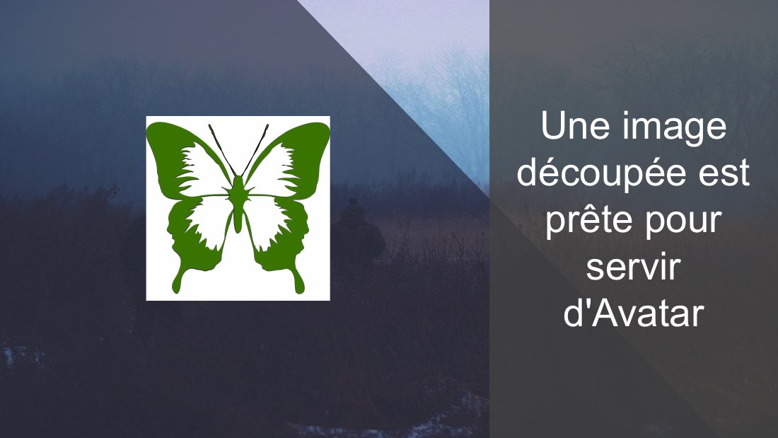 Une image découpée est prête pour servir - d'Avatar