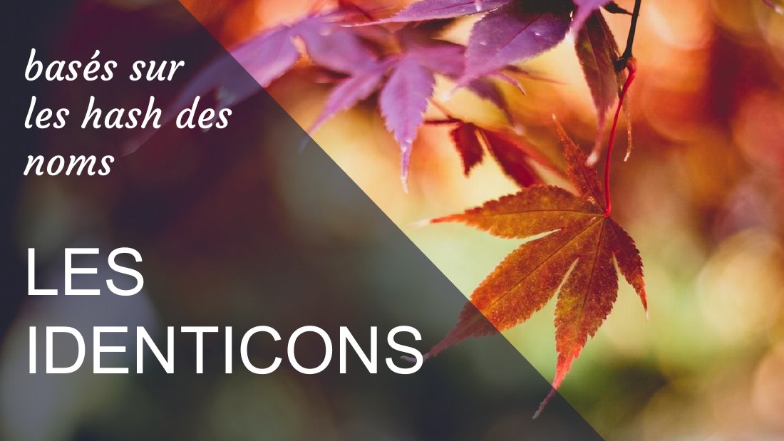 basés sur - les hash des - noms - LES - IDENTICONS