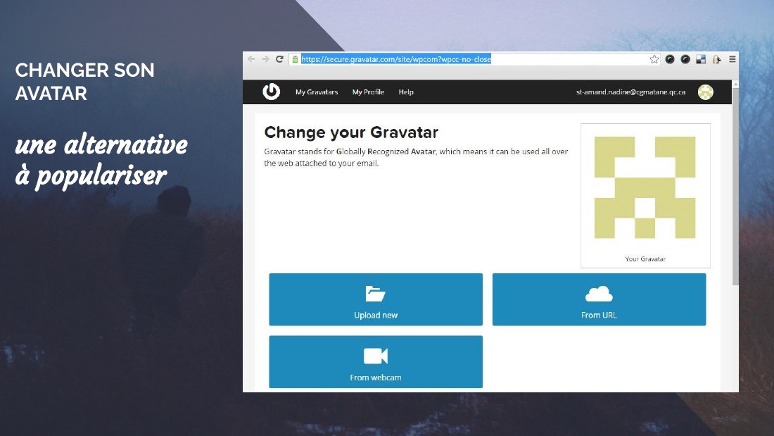 CHANGER SON AVATAR - une alternative à populariser