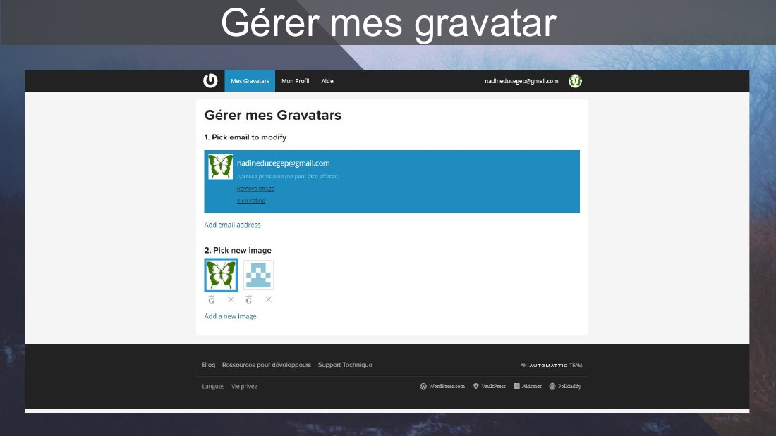 Gérer mes gravatar