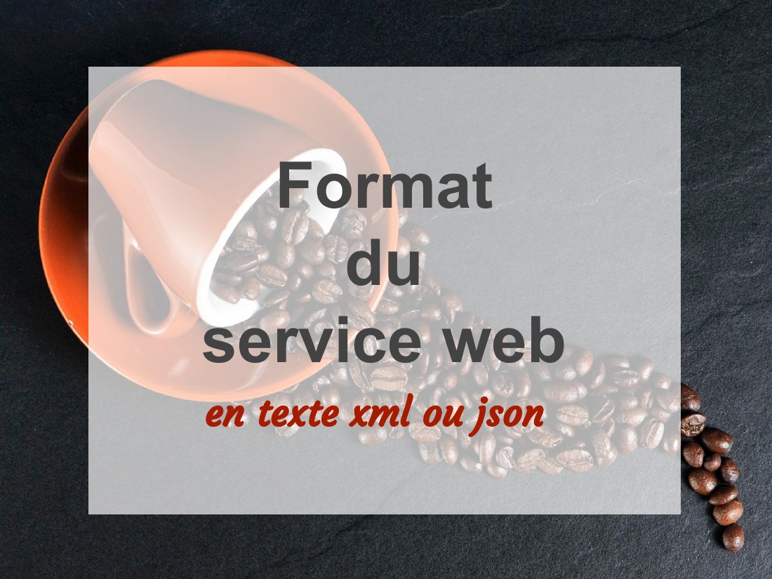 Format - du - service web - en texte xml ou json